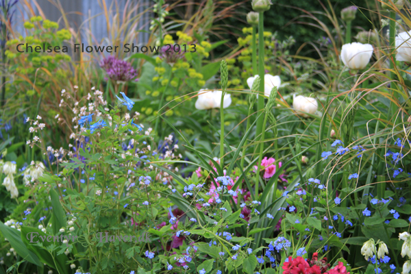Chelsea Flower Show 2013