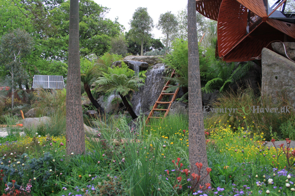 Chelsea Flower Show 2013 - Best in show 