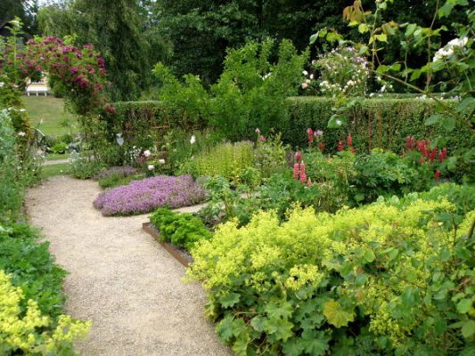 Køkkenhave med både grøntsager, krydderurter og blomster