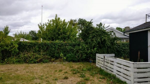 Vores lille ny kolonihave