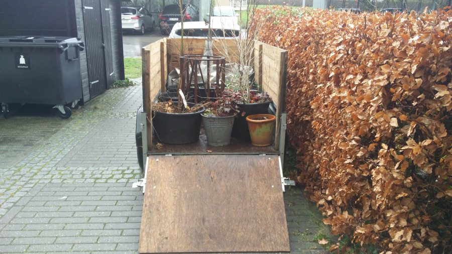 Planterne holder flyttedag.