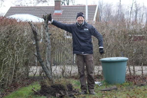 Træstubben kom op med rod og det