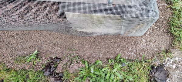Leca smulder frasiet fra vores genbrugs Leca og brugt som dræn rundt om vores bæredygtige kolonihavehus