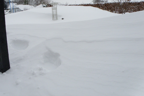 Vinterhaven januar 2010 Havens konturer er helt væk....