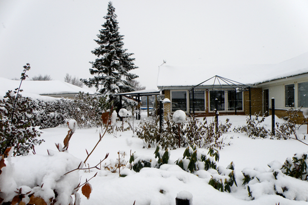 Haven klædt på i sne Vinterhaven efter snestorm