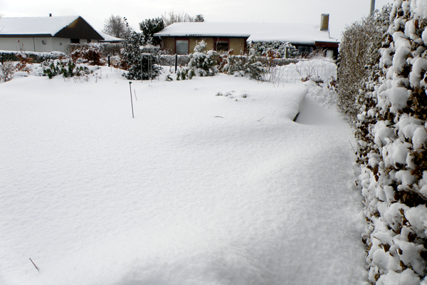 Havesne sne sne og atter sne
