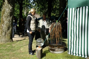 Hængepil - kobberspringvand