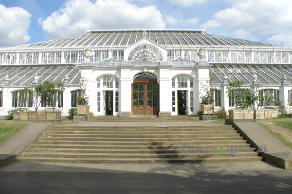 Kew Gardens -Temperate House