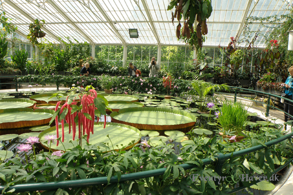 Åkande glashuset fra Kew Gardens i London, UK