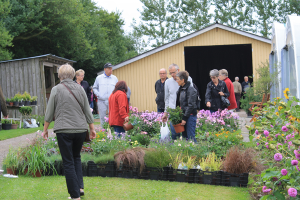 Mange mennesker besøgte Solhøj Planter på Havens Dag