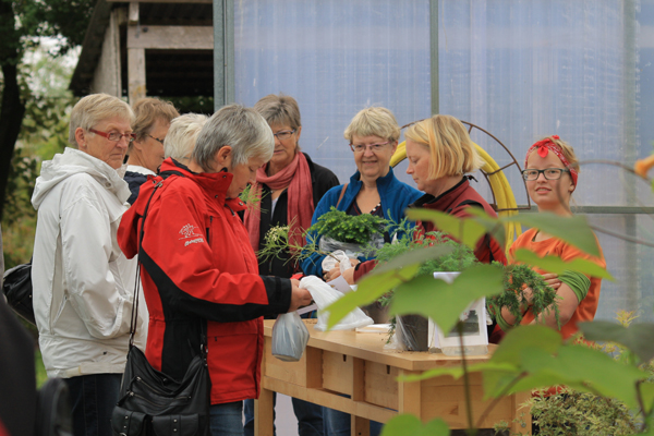 Salg af planter til Havens dag