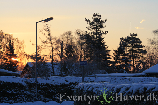 Vinter, sne og solskin