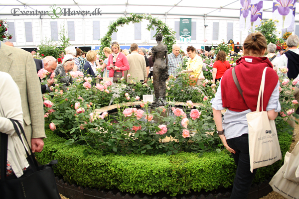 Springvand / fountain at the David Austin Stand 