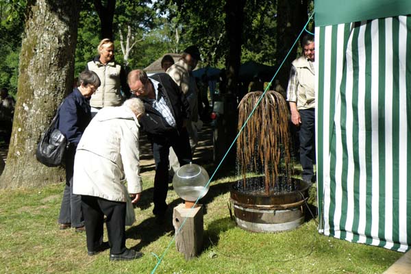 Bangsbo blomsterfestival