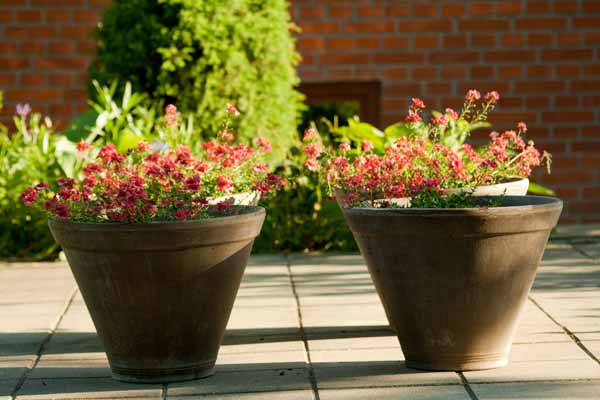 Skønne lerkruker med blomster