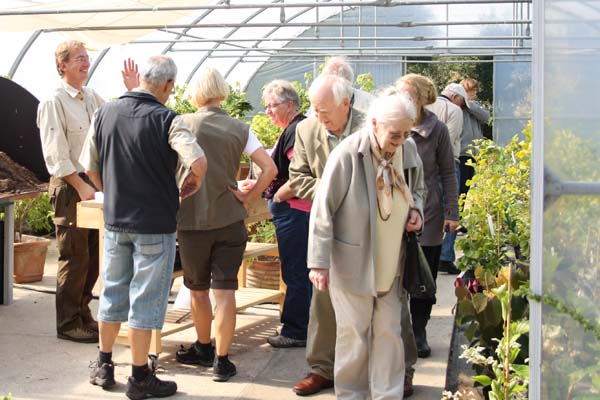 Havens dag Solhøj planter