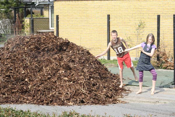 Stor bunke med flis