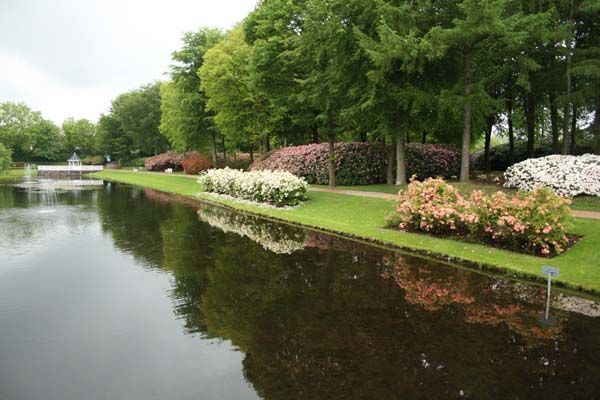 Variationen er stor i Rhodendornerne i parken Der findes et utal af forskellige rhododendron i Brønderslev