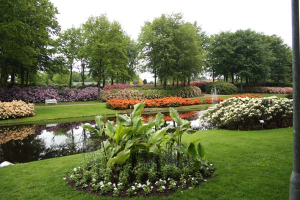 Så smukt tager Rhododendronparken i Brønderselv sig ud i år.