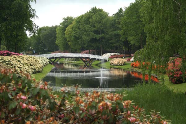 Rhododendronparken i Brønderselv Så smukt et kig fra scenen til den skønne hvide bro