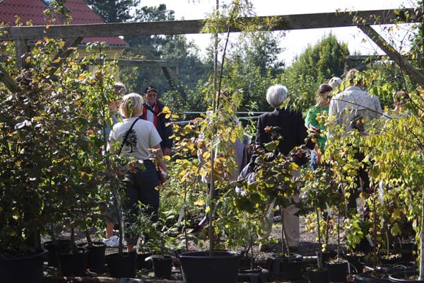 Havens dag hos Solhøj planter - Den hyggelige planteskole