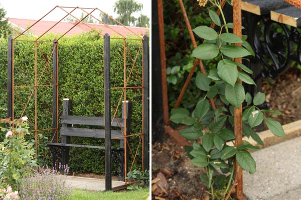 Rosenbue med bænk og rose Rosenbuen med bænk og den skønne klatrerose shropshire lad