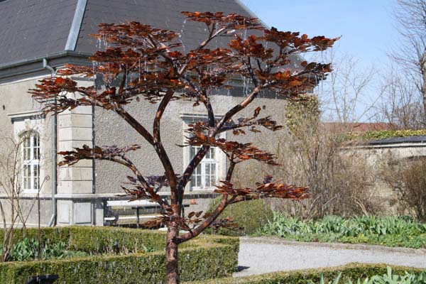 Titania og restaurnten på Egeskov er et smukt syn sammen